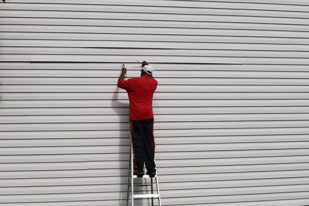 Best Stone Veneer Siding  in Palm Harbor, FL