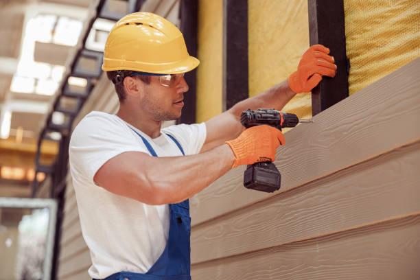 Best Steel Siding Installation  in Palm Harbor, FL