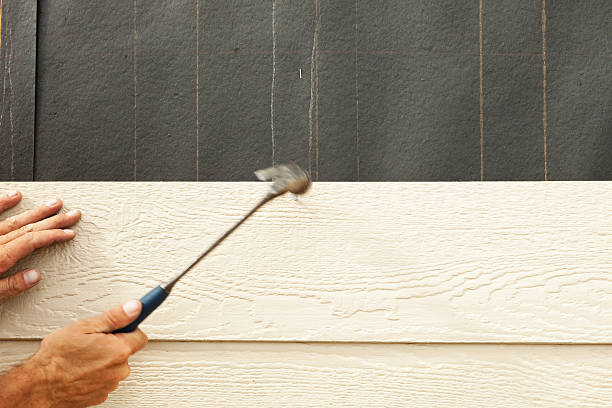 Best Vinyl Siding Installation  in Palm Harbor, FL