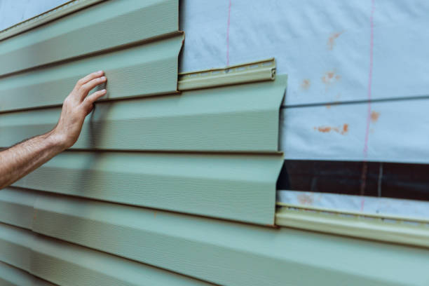 Best Stucco Siding  in Palm Harbor, FL
